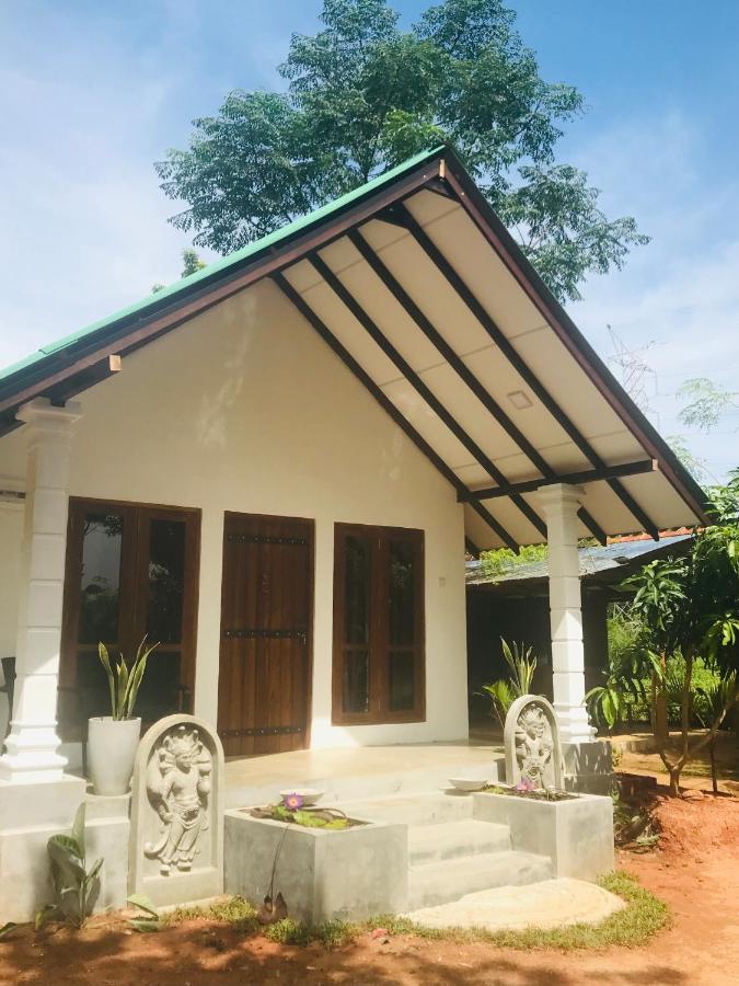 The Wild Culture Hotell Sigiriya Exteriör bild